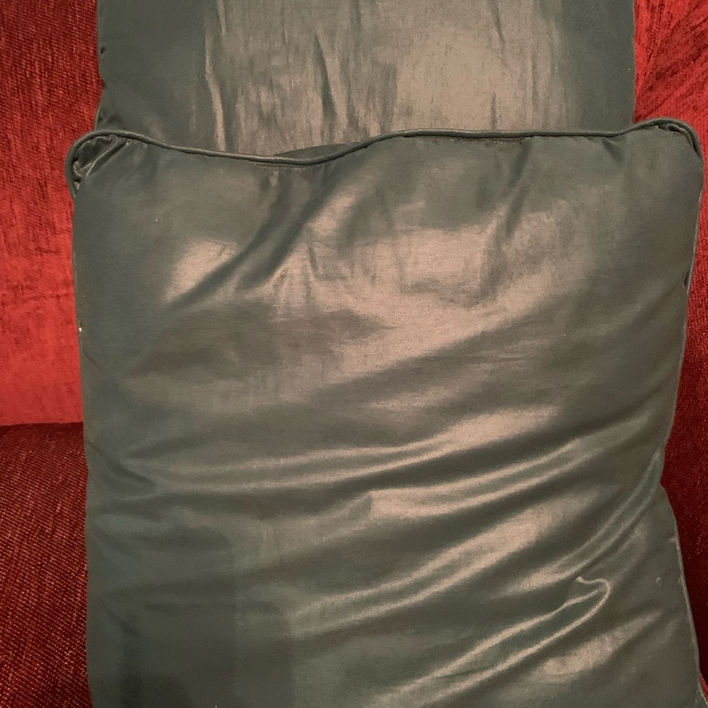 Medium sized throw pillows.